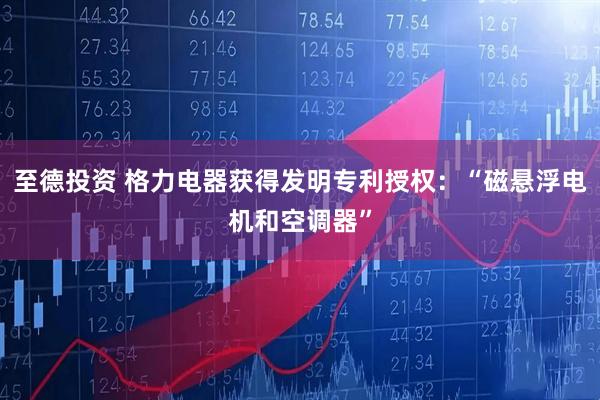 至德投资 格力电器获得发明专利授权：“磁悬浮电机和空调器”