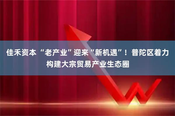 佳禾资本 “老产业”迎来“新机遇”！普陀区着力构建大宗贸易产业生态圈